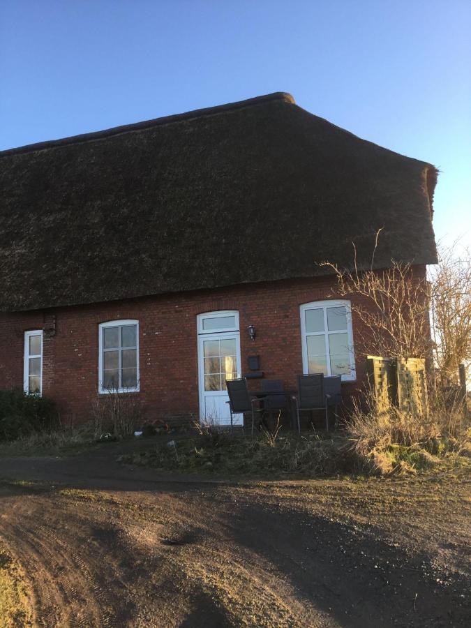 Ferienwohnung Haus lütje wehr Hattstedtermarsch Exterior foto